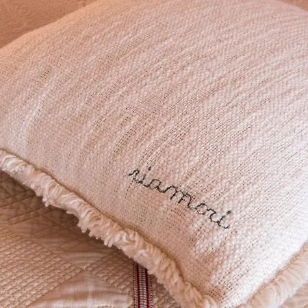 Il Balconcino Di Riamori 公寓 阿米里亚